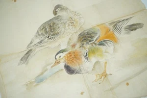Japanische Vintage Tier Zeichnung -Ente & Erpel- Orignal aus Japan 0701F12 - Bild 1 von 6
