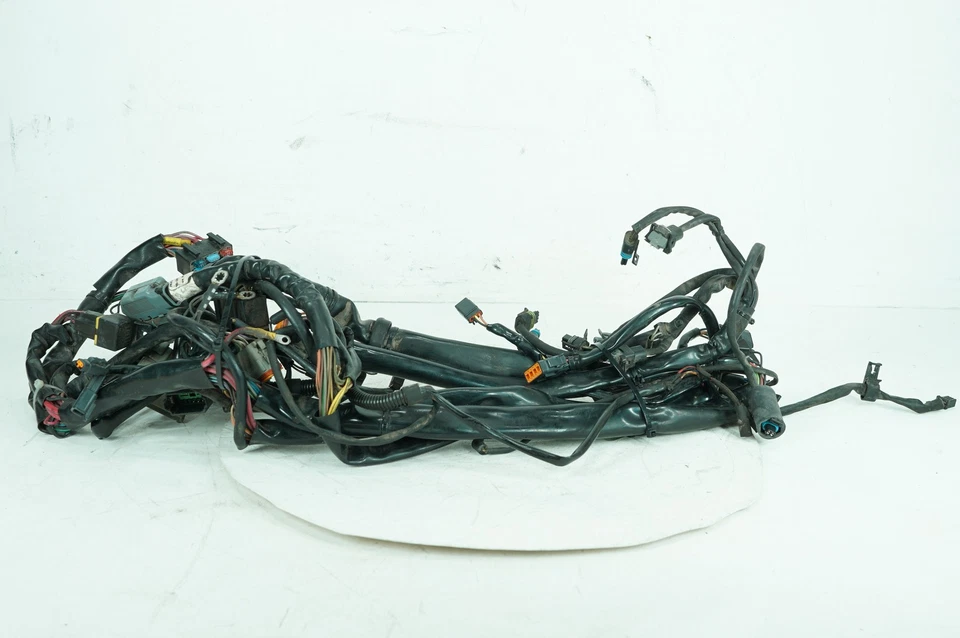 Harley Touring Road King Police 2002 FLHPI cableado principal arnés telar fabricante de equipos originales Foto 1 de 4