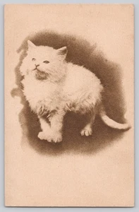 Weiße Kätzchen Katze Sepia Postkarte Serie 744 - Bild 1 von 3