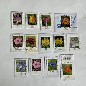 13 Germany stamps~2005-2019~Flowers~nasturtium~cornflower~bleeding heart~cosmos - Picture 1 of 8