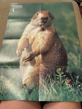 National Geographic WORLD magazine March 1983 POSTER Prairie Dog (JL)