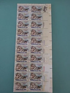 1980 USA 35 Cent Glenn Curtis US Luftpost Briefmarken (20er Block) - Bild 1 von 2