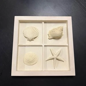3D Seashells Coastal wall art - Picture 1 of 2