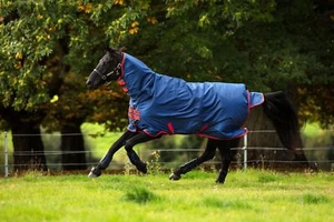 HORSEWARE AMIGO MIO LITE ALLINONE TURNOUT RUG 0G ALL IN ONE NECK COMBO RUGS - Picture 1 of 1