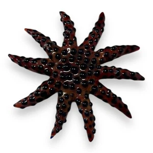 Vintage Hand Blown Art Glass Sea Star Starfish Ocean Life 2.5" Brown - Picture 1 of 5