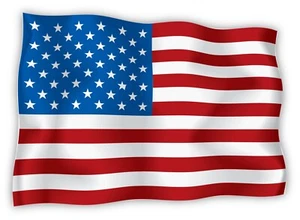 "Calcomanía pegatina bandera de EE. UU. 5"" x 3" - Imagen 1 de 1