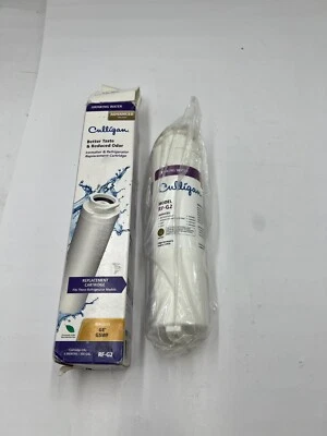 For Culligan RF-G2 Refrigerator Filter Replacement For GE MSWF 101820A AP3997949 - Image 1 of 4
