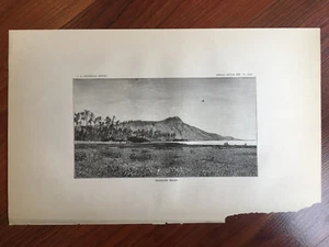 1883 Hawaii Lithographie Buch Platte aus Diamantkopf - Bild 1 von 2