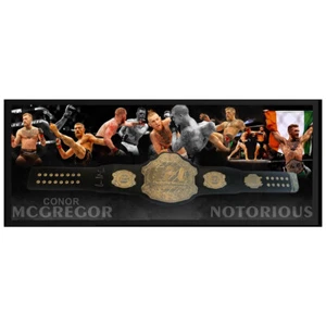 CONOR MCGREGOR HAND SIGNED FRAMED FULL SIZE UFC BELT KHABIB GSP SILVA JONES - Picture 1 of 2
