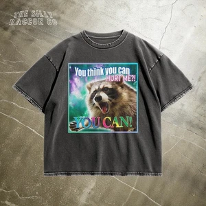 Camiseta divertida Y2K mapache angustiado, You Think You Can Hurt Me camiseta unisex - Imagen 1 de 10