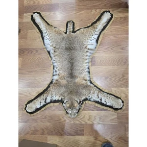 Fh63885 -MONTAJE ALFOMBRA TAXIDERMIA BOBCAT 42" LARGO - Imagen 1 de 8