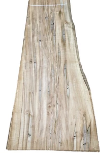 Maple Spalted Ambrosia Wormy wood veneer 10" x 28" raw no backer 1/42" thickness - Picture 1 of 4