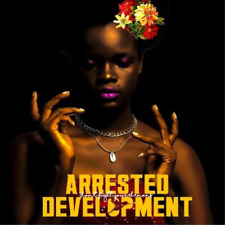 Arrested Development Don't Fight Your Demons (Vinyl) 12" Album