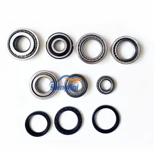DQ250 02E Transmission Bearing Kit Set - Foto 1 di 1