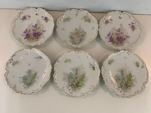 Antique Bavaria China German Porcelain Set of 6 Floral Decorated Plates - Picture 1 of 11