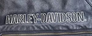 Harley-Davidson Chaps Embroidered Men's Leather Motorcycle Lg ~ Read Description - Foto 1 di 12