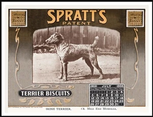 IRISH TERRIER VINTAGE STYLE SPRATTS DOG FOOD ADVERT ART PRINT POSTER - Picture 1 of 1