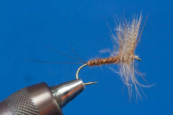 Fliegentom Trockenfliege - 3 Stück CDC-Drake Maifliege rostbraun - Bild 1 von 1