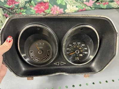 Cuadro de instrumentos velocímetro Ford Pinto Mercury Bobcat 71-78 OEM 1971-1978 Foto 1 de 4