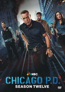 CHICAGO PD the complete Season the 12 (Part 1&2, all 22 episodes) new sealed - Imagen 1 de 3