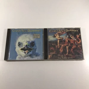Crash Test Dummies CD Bundle Lot x2 Albums - Worm's Life + God Shuffled His Feet - Bild 1 von 13