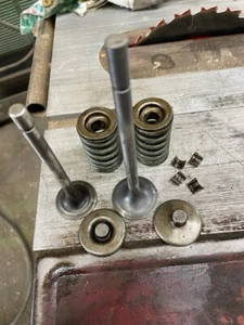 1936 Chevrolet 206 216 Valve set - Picture 1 of 3