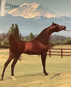 The Arabian Horse TIMES January 1999 Magazine Dream Quest and National Results - Picture 1 of 8
