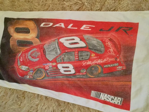 VINTAGE Dale Earnhardt Jr #8 Racing 51” x 28” Beach Towel VGUC Cover