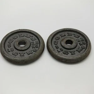 Placa de peso plateada Golds Gym 2x5 lb 10 libras en total  - Imagen 1 de 7