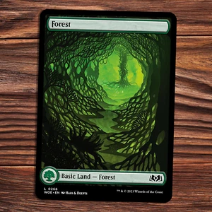 Forest - NM - Wilds of Eldraine - MTG - Picture 1 of 1