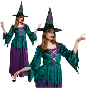 Hocus Pocus Witch Costume Ladies Halloween Sanderson Witches Fancy Dress - Picture 1 of 6
