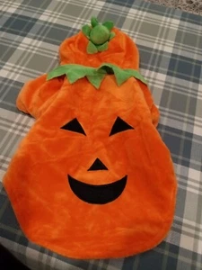Pet Costume Pumpkin Size Small, Cats/Small Dogs  - Picture 1 of 10