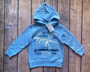 Toddler Boy Size 2-4 Years H&M Blue Dinosaur Facts Pullover Hoodie Sweater - Picture 1 of 1