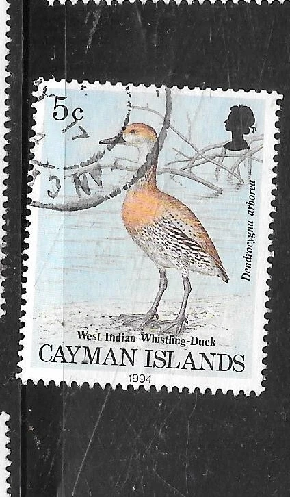 CAYMAN ISLANDS SC# 681 1994 5c DUCK BIRDS COMMEMORATIVE VF USED OLD STAMP - Image 1 of 1