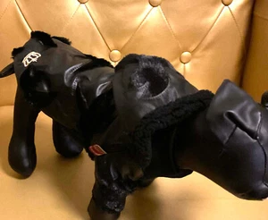 2532_Angeldog_Hundekleidung_Sweatshirt_Pulli_Hund_WINTER_RL41_M - Bild 1 von 7