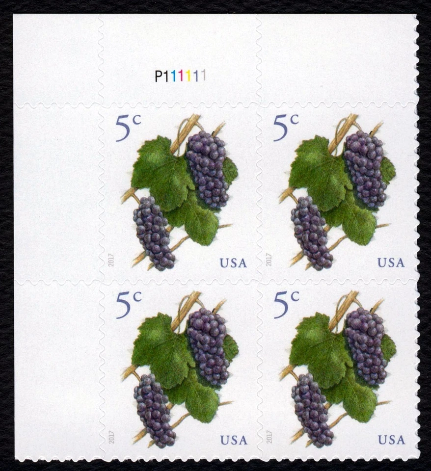 #5177 5c Grapes, Plate Block [P111111 UL] Mint **ANY 5=FREE SHIPPING** - Image 1 of 1