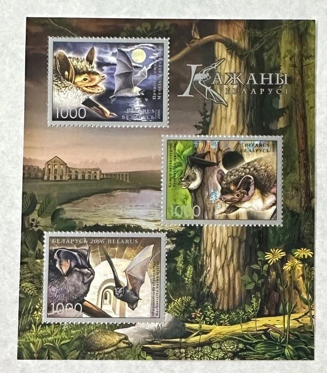 BELARUS 可爱完好未铰边 3 张球棒 — 第 1/1 张图片