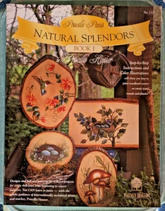 Priscilla Paints Natural Splendors Book 1 Painting Book No.1721 1997 Birds - Picture 1 of 3