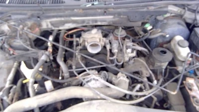 Passenger Rear Side Door Heritage Super Cab Fits 97-04 FORD F150 PICKUP 262498 Foto 1 de 4