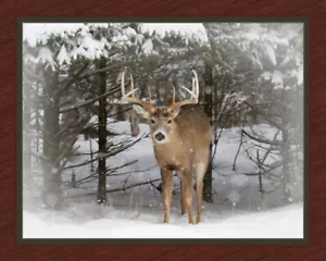 Winter Trophy D2 - Picture 1 of 1