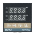 High Performance REXC100 V*AN SSR Temperature Controller for Injection Molding