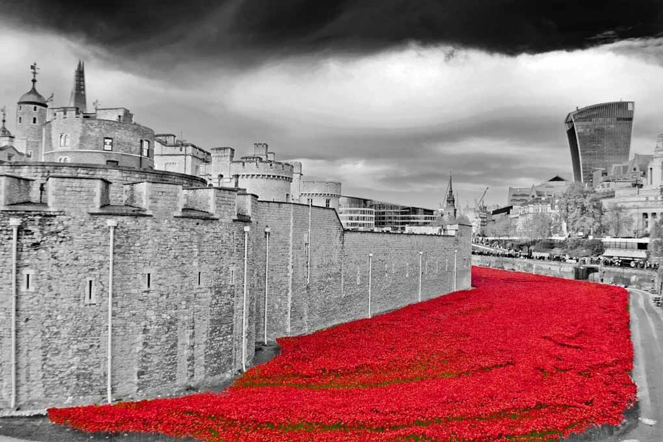 Torre de Londres Amapola Sangre Barrida Tierras Mares de Amapolas Rojas Fotografía Imagen Foto 1 de 1