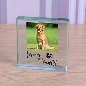 Forever In Our Hearts, Foto Mascota Personalizada Bloque de Vidrio Memorial 9 cm - Imagen 1 de 2
