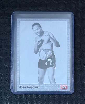 1991 AW Sports All World Boxing Jose Napoles Card #119 - Image 1 of 2