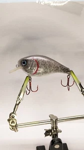 FULLY CUSTOM PAINTED Mullet 2.5 Crank Bait - Picture 1 of 5