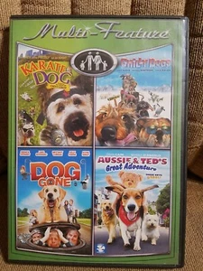 4 Family Movies (DVD, 2-Disc Set) Karate Dog/Chilly Dogs/Dog Gone/Aussie and Ted - Picture 1 of 4