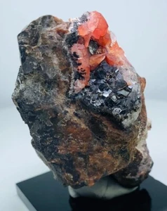 RHODOCHROSITE XLS with FLUORITES & QUARTZS on MATRIX from PERU...UCHUCHAQUA MINE - Picture 1 of 13