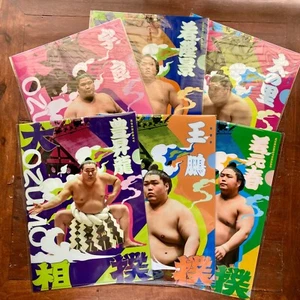 Sumo Wrestlers Rikishi Design file trasparente formato A4 polipropilene - Foto 1 di 33