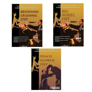 3 DVD Set Chinese Northern Mantis Kung Fu Martial Arts- Grandmaster Lee Kam Wing - Foto 1 di 4