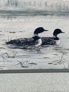 RARE Signed Framed LOONS on LAKE MOREHEAD British Columbia Canada Art ❤️blt10m7 - Picture 1 of 9